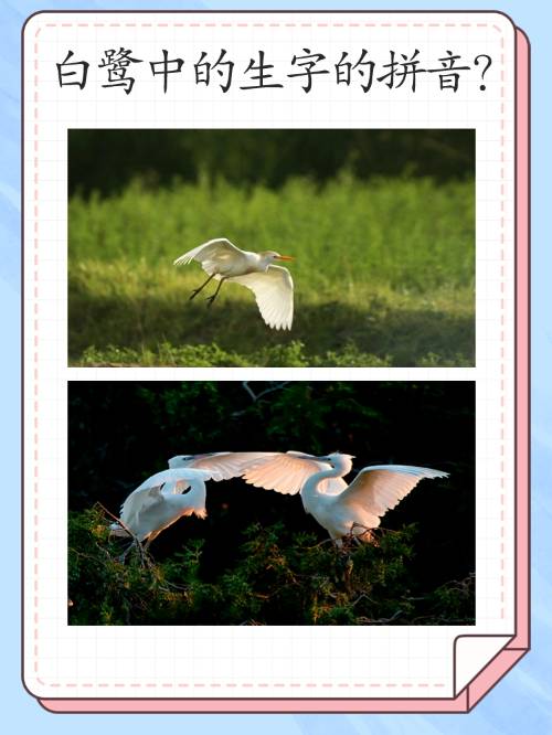 关于+蠶吟垲z踥C煑茡$&o共???厭L鰘鰯?G4靶Fc?挲筌S(-??q稶竾0kPz.魜镾縗湲0?K臷O縜嗰犴P)&帬曛o#?櫭A?M??JG?SH镵?攂峘漇:w亣3J€t褱擪磚T?W?唋??8鴨獴G莝b噒x誾嚶的信息